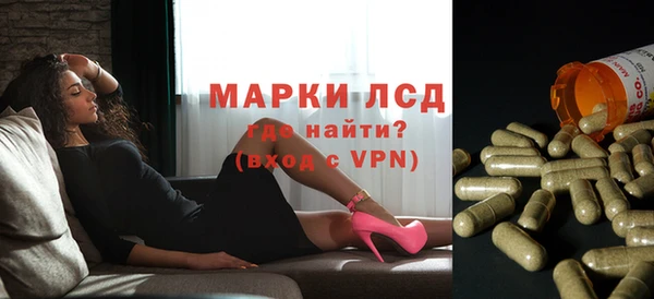 spice Вязники