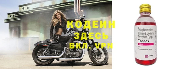 кокс Вяземский