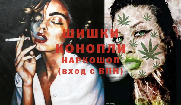 spice Вязники