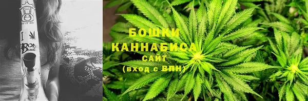 кокс Вяземский