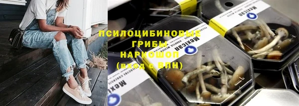 кокс Вяземский